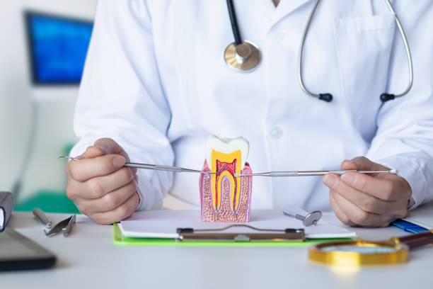 Best Weekend Emergency Dentist in Hastings, MI